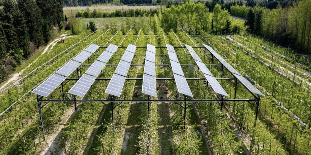 agrivoltaic system installed in Mallemort, France