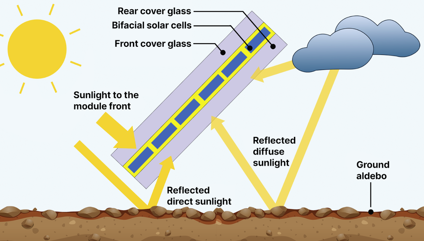 A diagram showing how bifacial solar panels can collect light from their top and bottom sides.