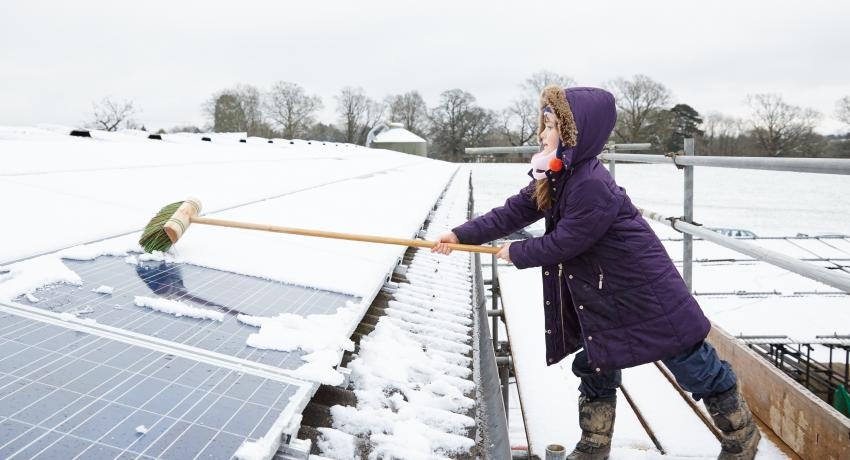 Woman cleaning snow off of ground-mounted solar panels using a brush.