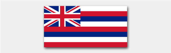 The Hawaii state flag