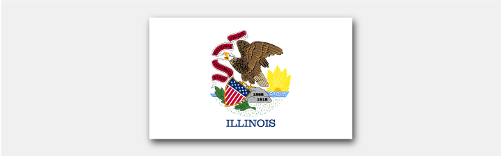 The Illinois state flag