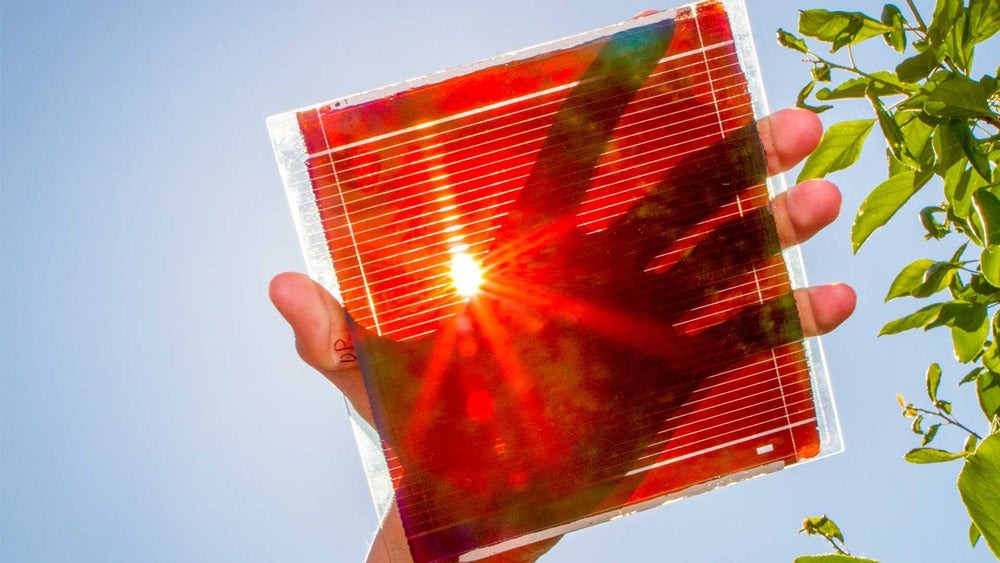 Perovskite solar cells: why they’re the future of solar power