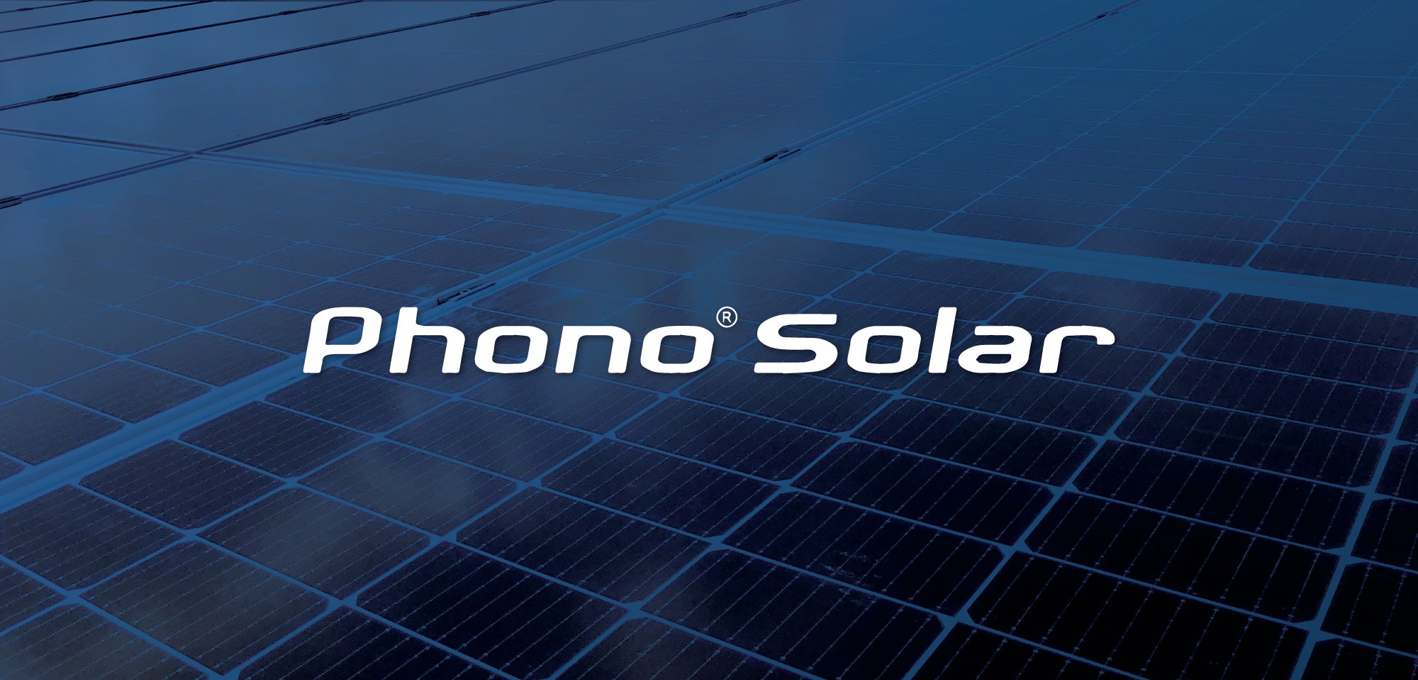 Phono Solar panel review: cost, products, and warranties