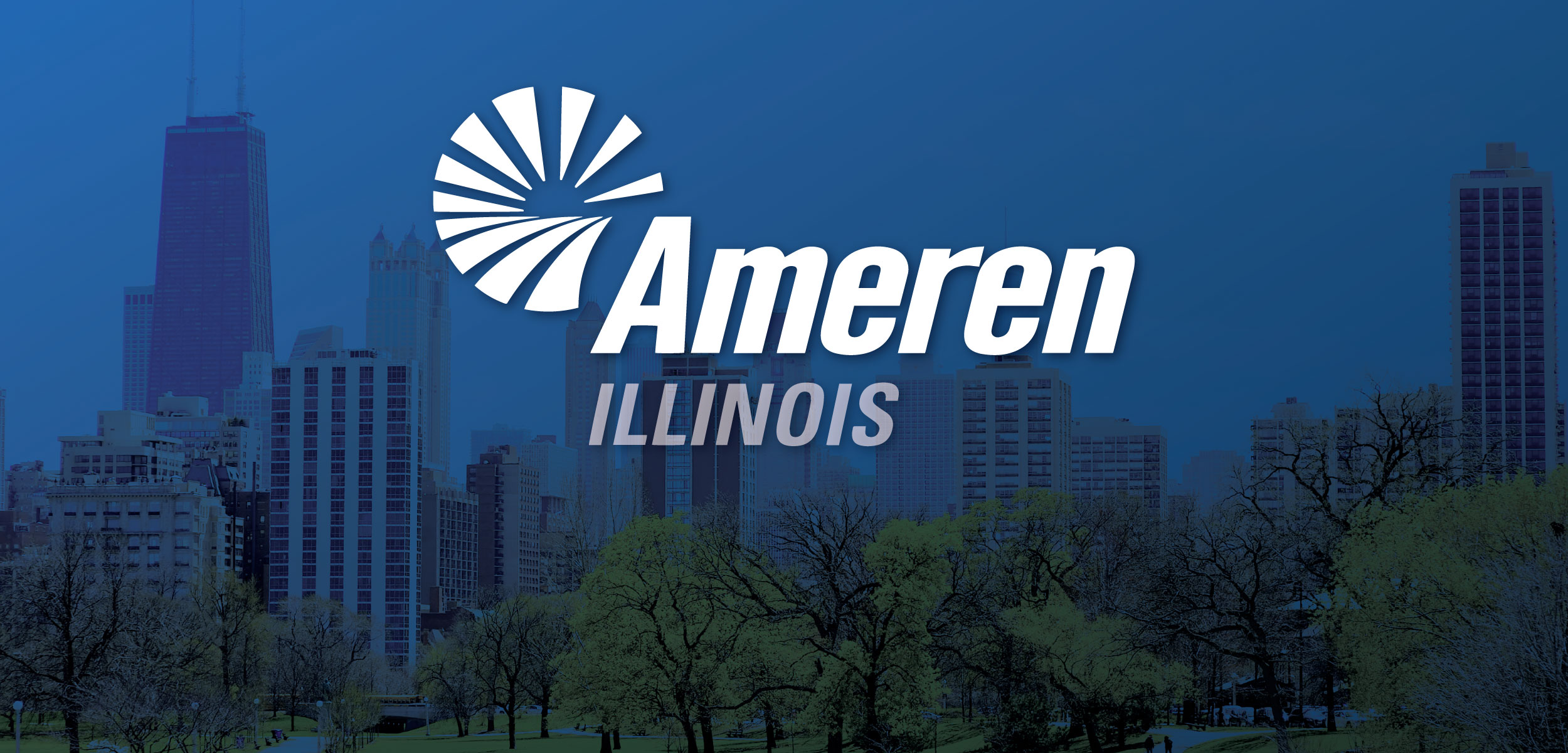 Going solar with Ameren Illinois: Lower your electric bill (2024)
