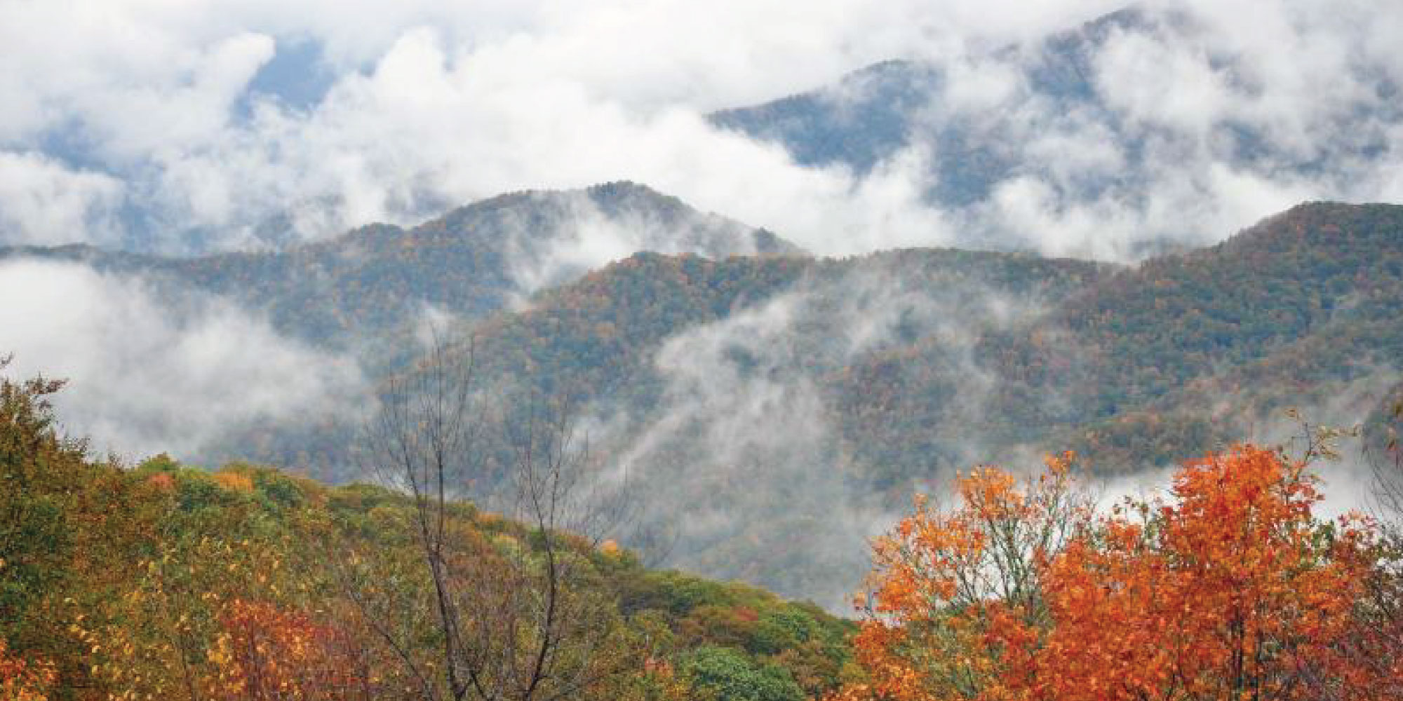 View of Great Smoky Mountains with fall foliage.