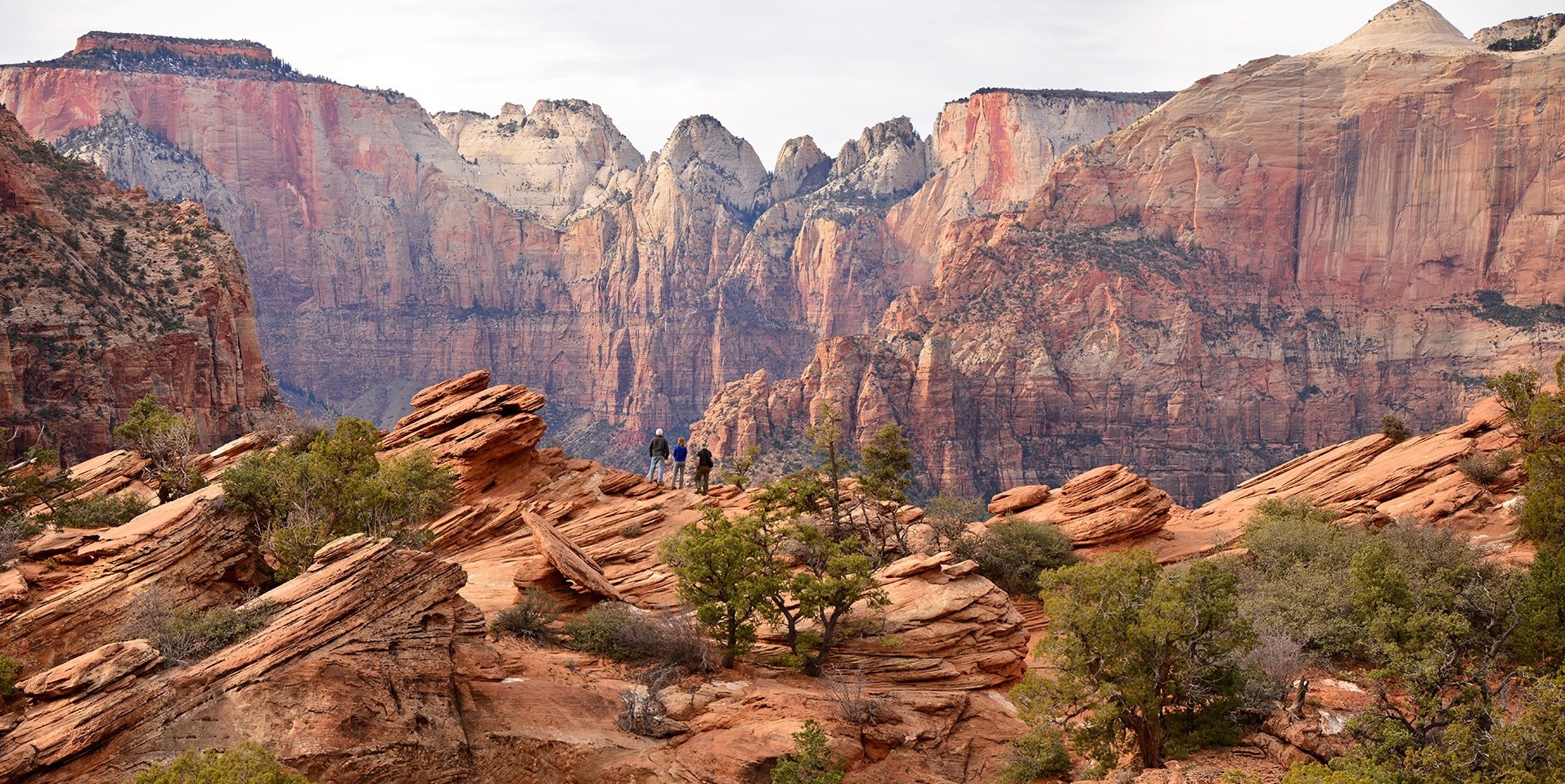 Three hikers looking out over rocky Zion landscape.